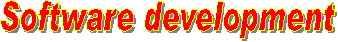 Software development